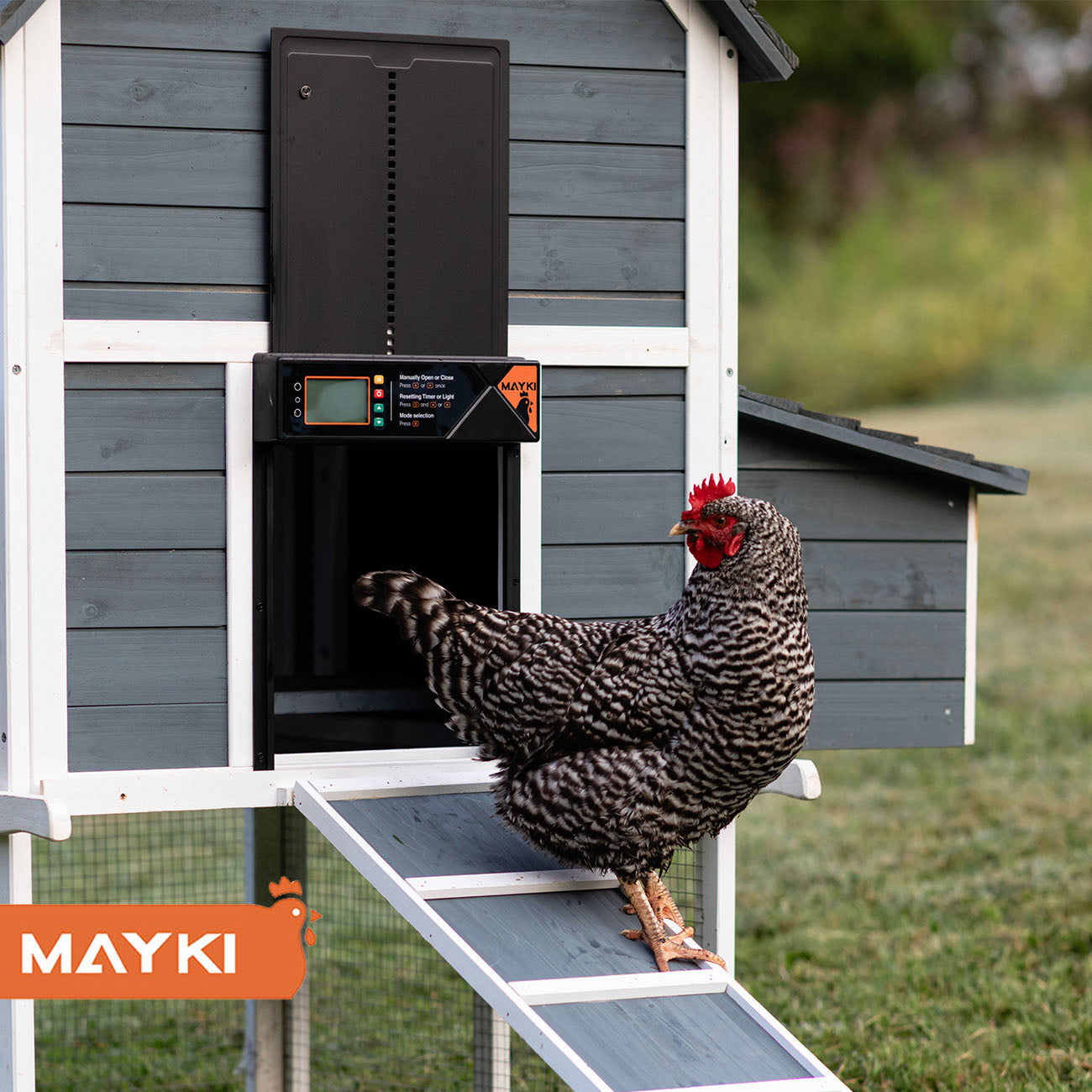 MAYKI Automatic Chicken Coop Door Solar Powered, Accessories Extra-Large with 4 Auto Modes (Timer & Light Sensor), Anti-Pinch, Waterproof Cold Weather, FCC/CE/RoHs Certified, Aluminum Build, M Black